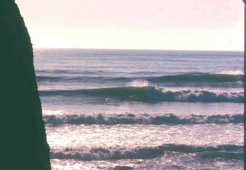 central coast niceness