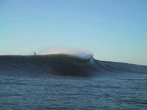 pristine anihilation