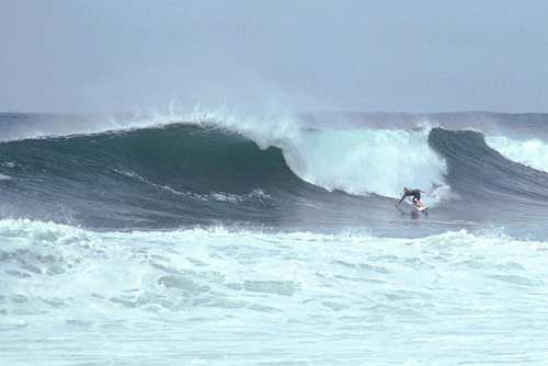 gulf coast livin large