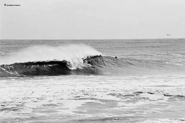 E's Surf Report E's Surf Report