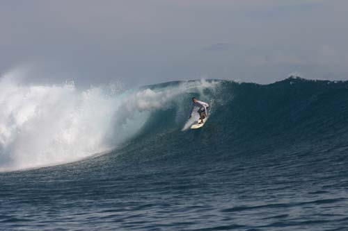 south pacific niceness