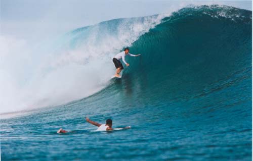 south pacific niceness