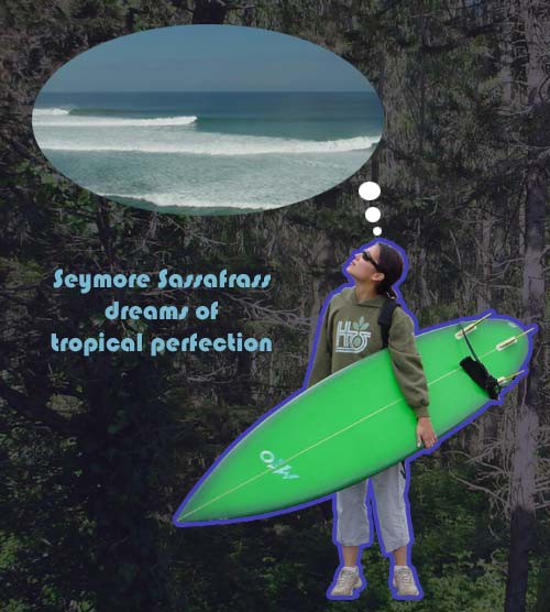 seymore sassafrass