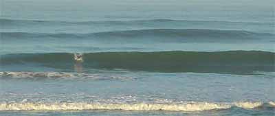 south swell at ob