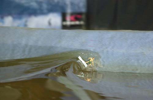 texas wave pool model